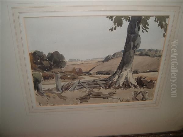 A Norfolk Lane - view 1