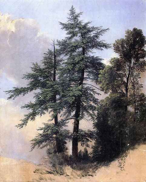 Nature Study, Trees, Newburth, N.Y. - view 1