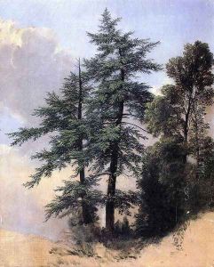 Nature Study, Trees, Newburth, N.Y.