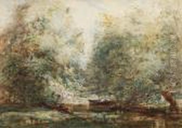 Boating On A Woodland Lake - view 1