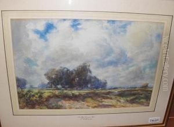On Hayes Common, Kent - view 1