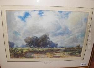 On Hayes Common, Kent by Thomas William Morley