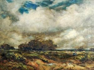 Windswept Heathlandlandscape