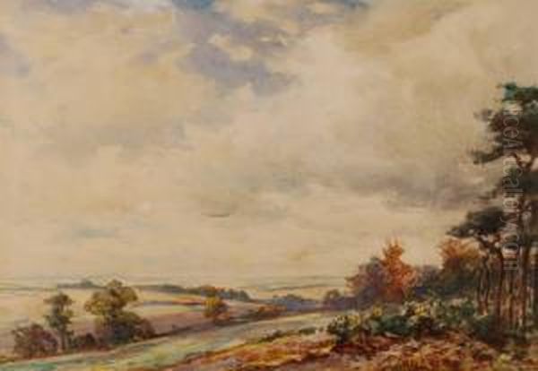 Extensive Landscape - view 1