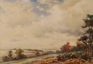 Extensive Landscape Extensive Landscape