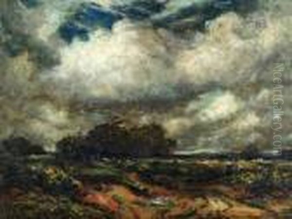 Windswept Heathland Landscape - view 1