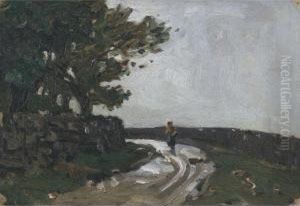 Paysage, Pays De Galles