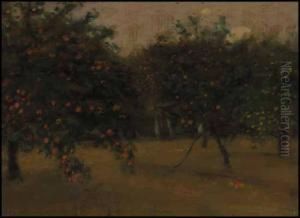 Orchard Near St. Malo, Brittany