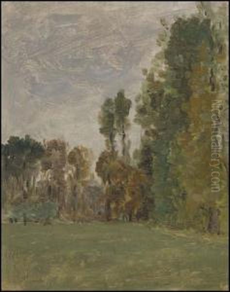 The Park With Trees Beyond - view 1