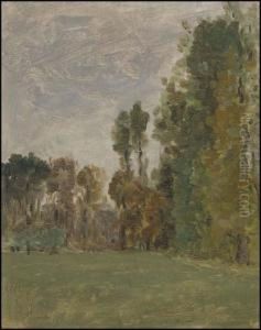 The Park With Trees Beyond