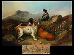 Hirte Mit Hunden Im Schottischen Hochland