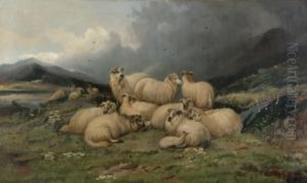 (fl.late 19thcentury) Sheep In A Highland Glen - view 1
