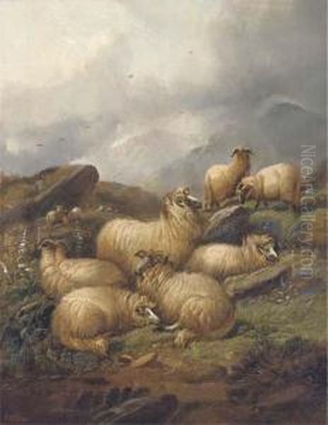 Sheep In A Highland Landscape - view 1