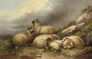 Sheep Grazing In A Landscape by John Morris