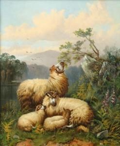 Sheep Resting In Ariver Landscape by John Morris