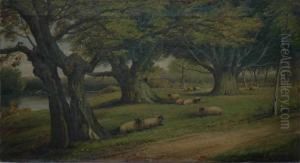 Sheep Grazingamong Trees Oil On Canvas Sheep Grazingamong Trees Oil On Canvas