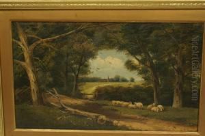 Sheep Resting, Beneath Trees