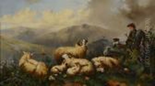 Shepherd With Highland Sheep - view 1