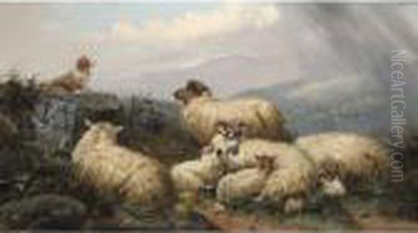 Guarding The Sheep - view 1