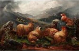 In The Highlands by John Morris