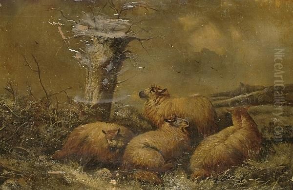 Sheep In A Winter Landscape - view 1