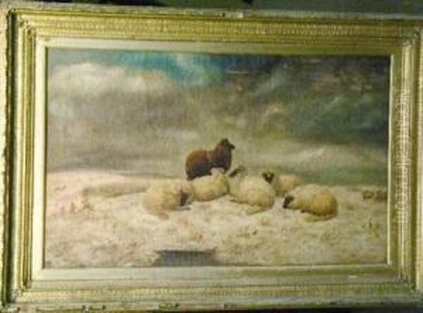 Sheep In A Winter Landscape - view 1