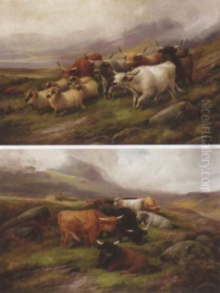 Highland Cattle (#) Highland Cattle And Sheep - view 1