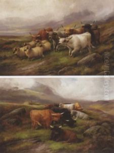 Highland Cattle (#) Highland Cattle And Sheep by John Morris