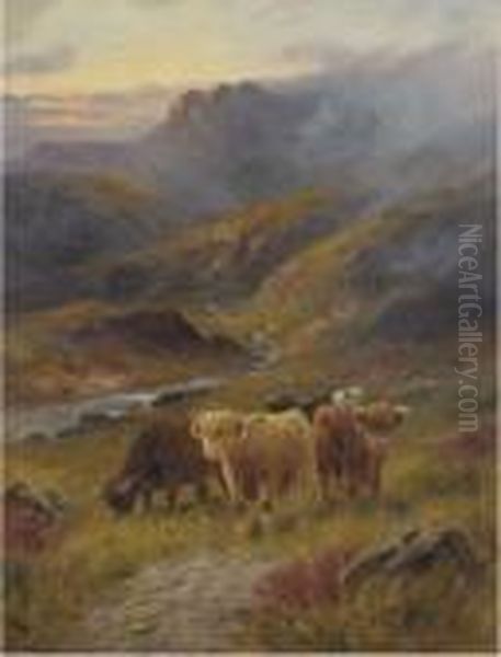 Highland Cattle - view 1