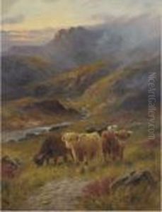Highland Cattle by John Morris