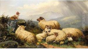 Sheep In A Highland Landscape by John Morris