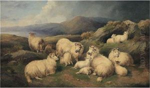 Sheep Resting by John Morris