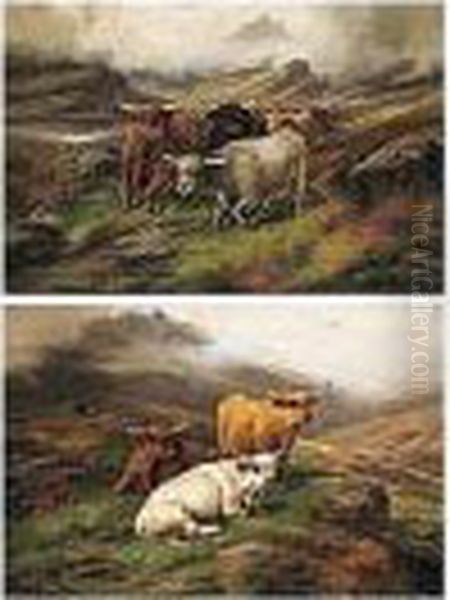 Cattle Resting; Droving Cattle - view 1