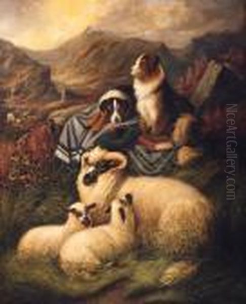 Highland Companions - view 1