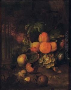 Peaches, Plums, Grapes, Medlars And Nuts In A Wooded Clearing With A Butterfly by Jan Mortel