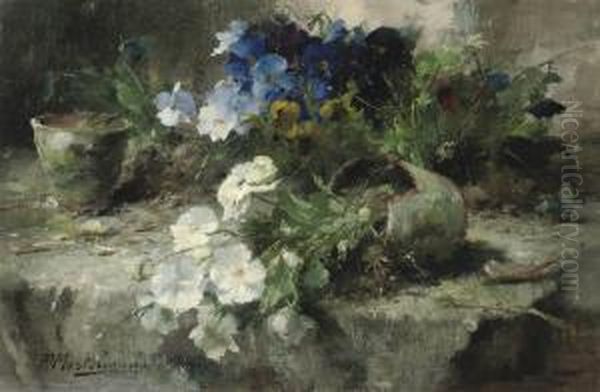 White And Blue Violets - view 1