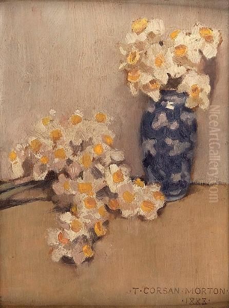 Daffodils - view 1
