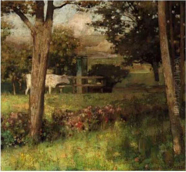 Shaded Pasture - view 1