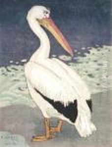 Pelikan
