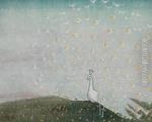 Weiser Pfau