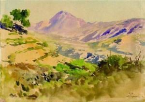 Col D'aspremont by Alexis Mossa