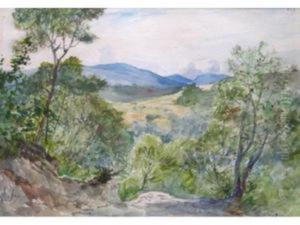 Untitled - view 1