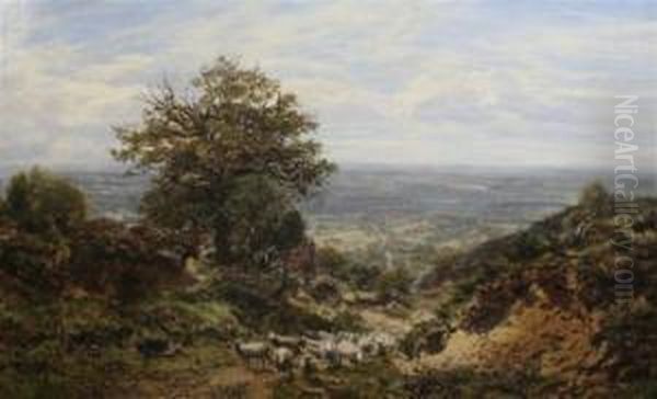 Near Ewhurst, Surrey - view 1