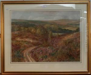 Figure And Dog Walking Along A Path Within A Landscape