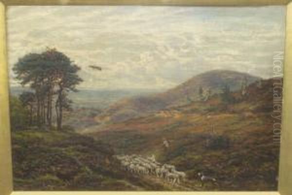 Drover And His Dog With Sheep On
 A Country Path, Probably A Scene On The Hog's Back, Surrey Signed, Oil 
On Canvas, 36.5cm By 51cm - view 1