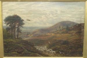Drover And His Dog With Sheep On
A Country Path, Probably A Scene On The Hog's Back, Surrey Signed, Oil
On Canvas, 36.5cm By 51cm by George William Mote