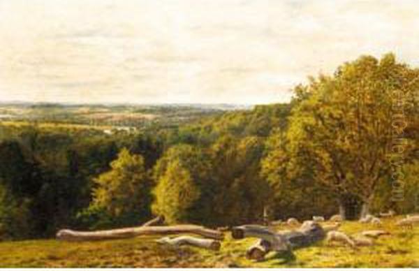 View From The North Downs, Surrey - view 1