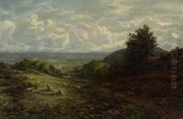 Englische Sommerlandschaft Mit Schafen - view 1