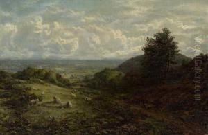 Englische Sommerlandschaft Mit Schafen