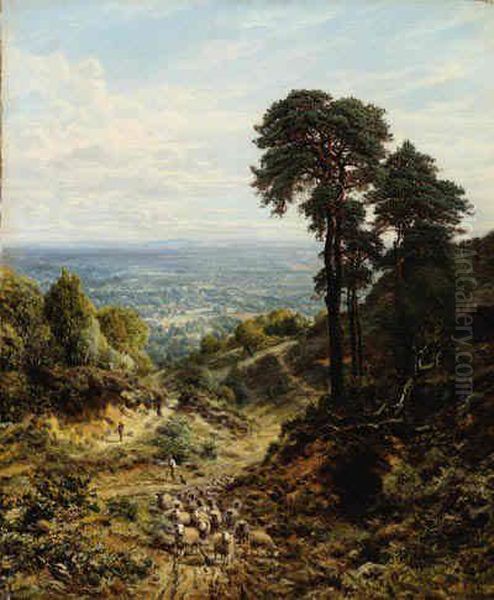 Tending The Flock - view 1